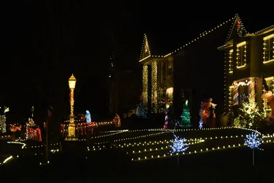 DSC_6730 (Large).JPG